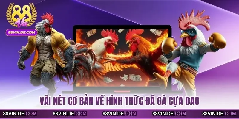 Vài nét cơ bản về hình thức đá gà cựa dao